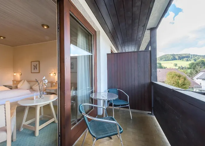 ホテル Braeuwirt 3*